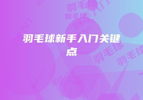 羽毛球新手入门关键点