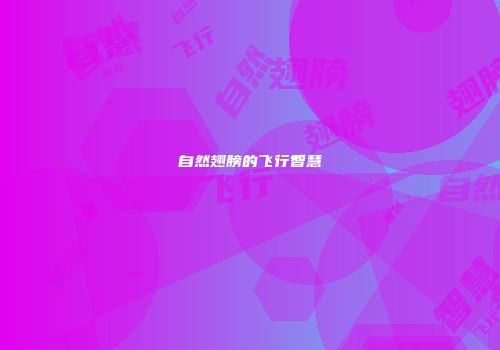 自然翅膀的飞行智慧