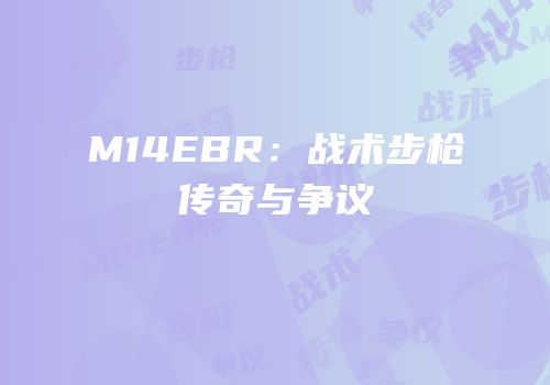 M14EBR：战术步枪传奇与争议