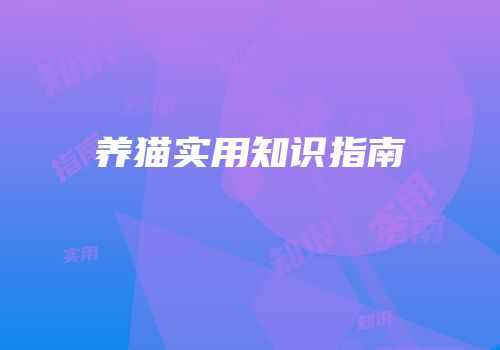 养猫实用知识指南
