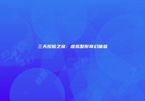 三天捏脸之旅：虚拟整形奇幻体验