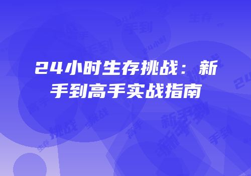 24小时生存挑战：新手到高手实战指南