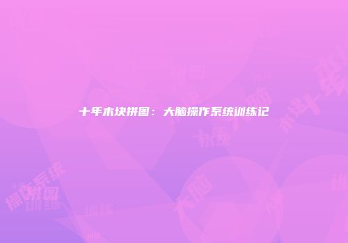 十年木块拼图：大脑操作系统训练记