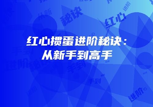 红心掼蛋进阶秘诀：从新手到高手