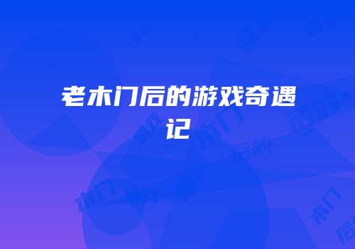 老木门后的游戏奇遇记