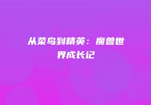 从菜鸟到精英：魔兽世界成长记