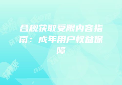 合规获取受限内容指南：成年用户权益保障