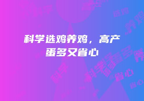 科学选鸡养鸡，高产蛋多又省心
