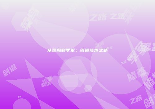 从菜鸟到季军：剑道修炼之路