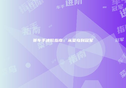 赛车手进阶指南：从菜鸟到冠军