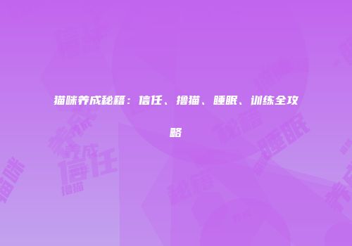 猫咪养成秘籍：信任、撸猫、睡眠、训练全攻略