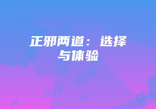 正邪两道：选择与体验
