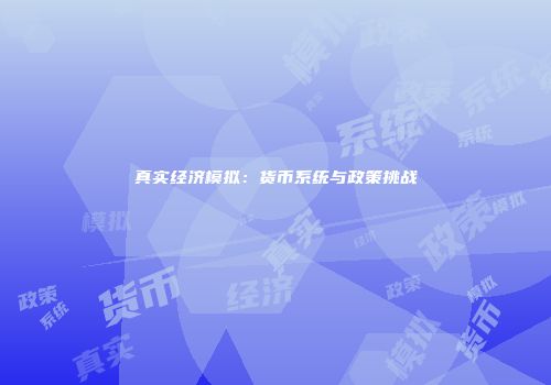 真实经济模拟：货币系统与政策挑战