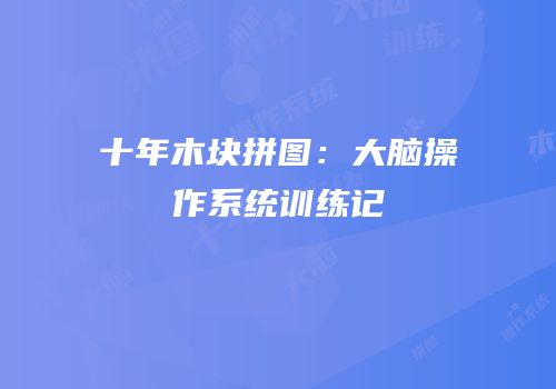 十年木块拼图：大脑操作系统训练记
