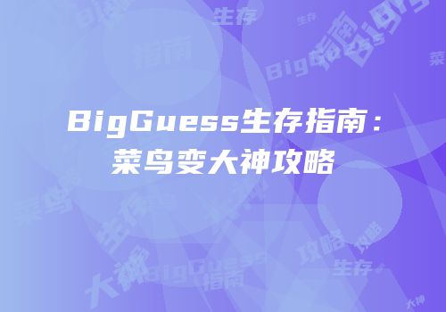 BigGuess生存指南：菜鸟变大神攻略