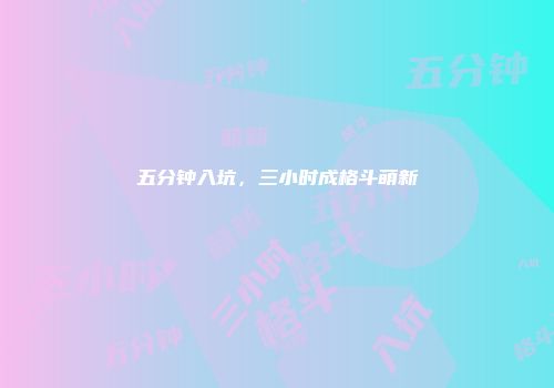 五分钟入坑，三小时成格斗萌新