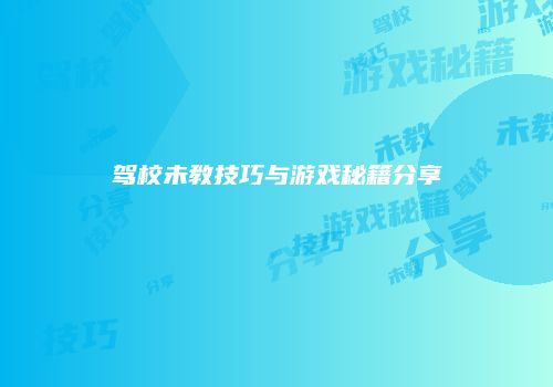 驾校未教技巧与游戏秘籍分享