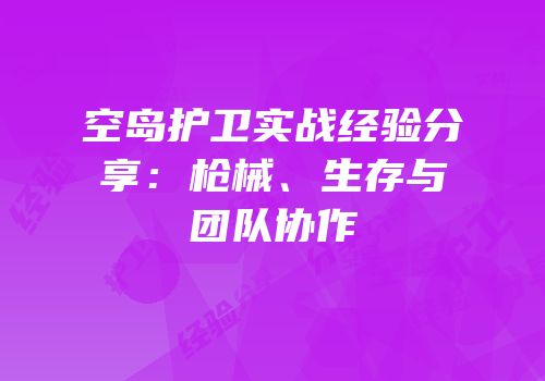 空岛护卫实战经验分享：枪械、生存与团队协作