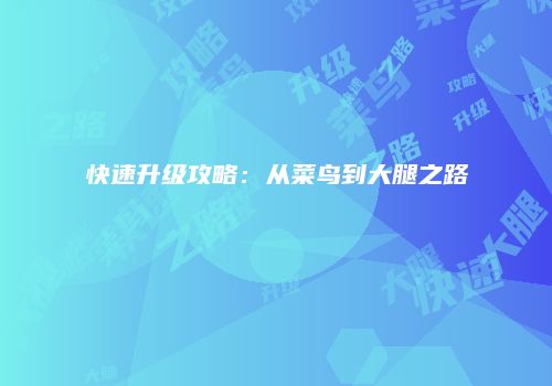 快速升级攻略：从菜鸟到大腿之路