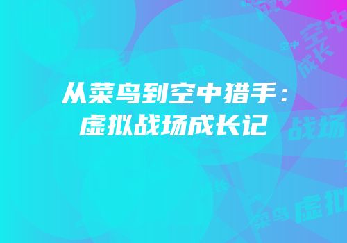 从菜鸟到空中猎手：虚拟战场成长记