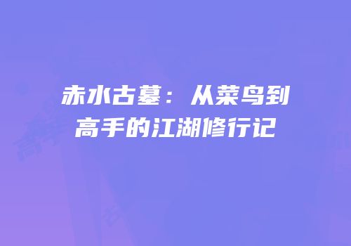 赤水古墓：从菜鸟到高手的江湖修行记