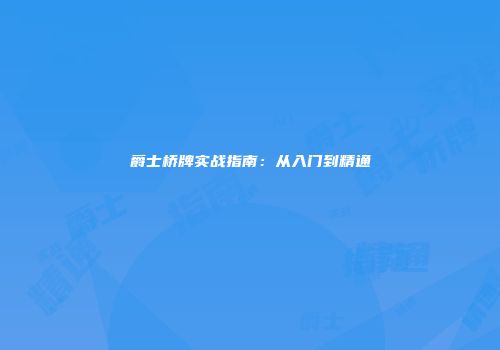爵士桥牌实战指南：从入门到精通