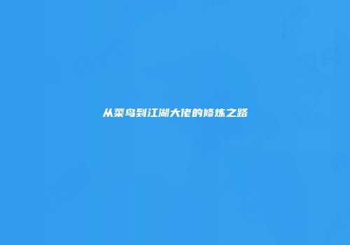 从菜鸟到江湖大佬的修炼之路