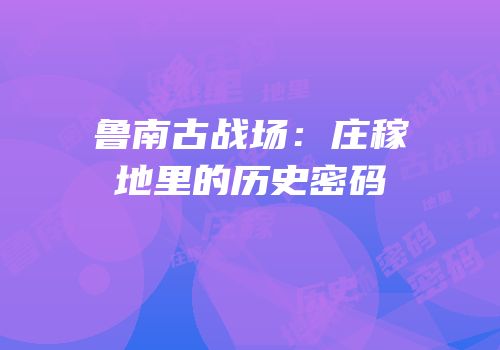 鲁南古战场：庄稼地里的历史密码