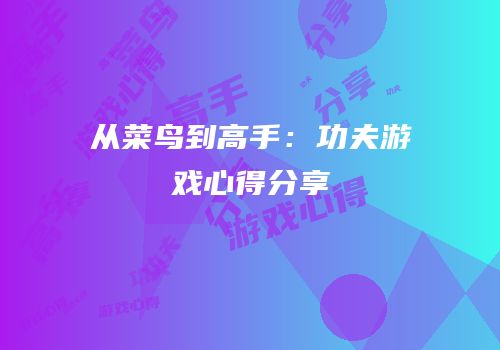 从菜鸟到高手：功夫游戏心得分享