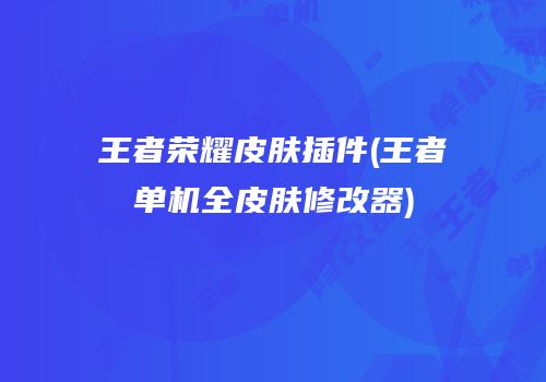 王者荣耀皮肤插件(王者单机全皮肤修改器)