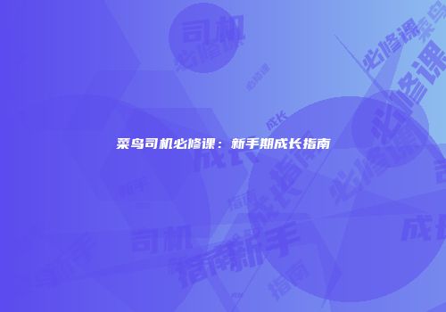 菜鸟司机必修课：新手期成长指南