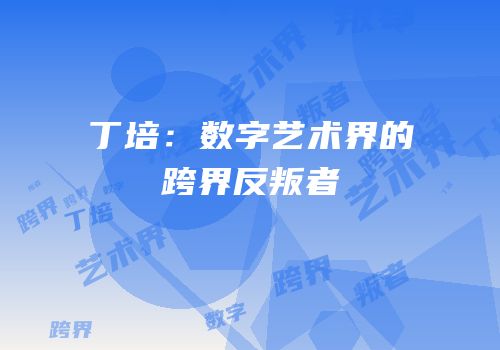 丁培：数字艺术界的跨界反叛者