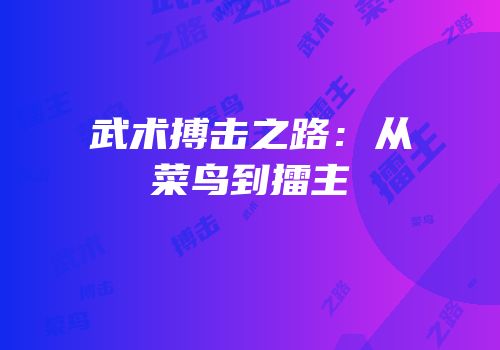 武术搏击之路：从菜鸟到擂主