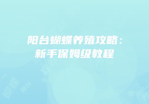 阳台蝴蝶养殖攻略：新手保姆级教程