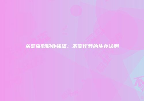 从菜鸟到职业强盗：不靠作弊的生存法则