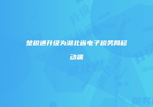 楚税通升级为湖北省电子税务局移动端
