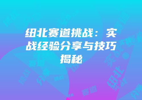 纽北赛道挑战：实战经验分享与技巧揭秘