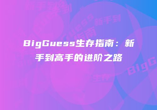 BigGuess生存指南：新手到高手的进阶之路
