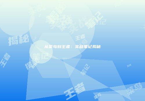 从菜鸟到王者：实战笔记揭秘