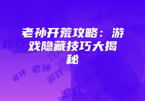 老孙开荒攻略：游戏隐藏技巧大揭秘
