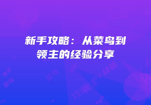 新手攻略：从菜鸟到领主的经验分享