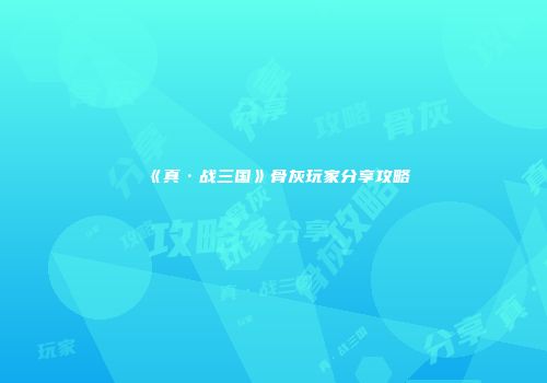 《真·战三国》骨灰玩家分享攻略
