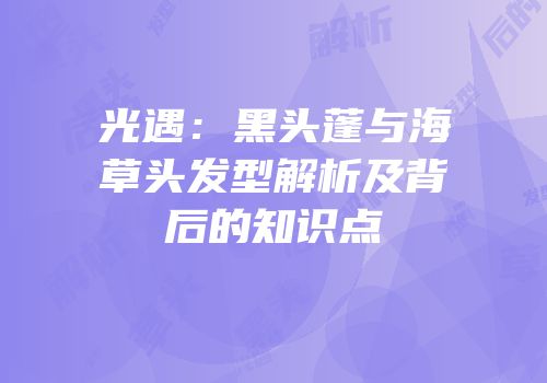 光遇：黑头蓬与海草头发型解析及背后的知识点