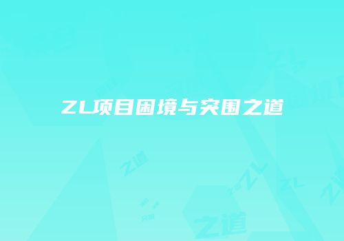ZL项目困境与突围之道
