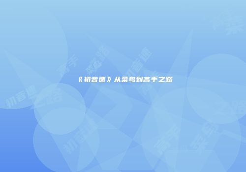 《初音速》从菜鸟到高手之路