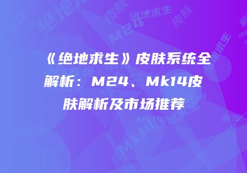 《绝地求生》皮肤系统全解析：M24、Mk14皮肤解析及市场推荐