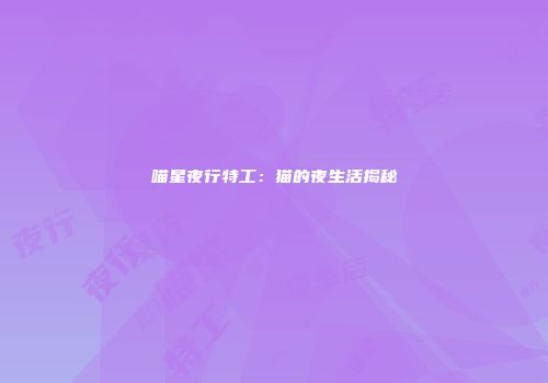 喵星夜行特工：猫的夜生活揭秘