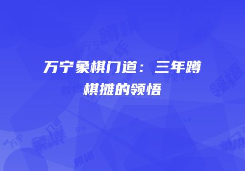 万宁象棋门道：三年蹲棋摊的领悟