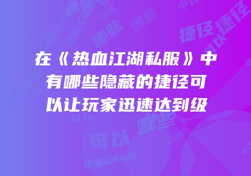 在《热血江湖私服》中有哪些隐藏的捷径可以让玩家迅速达到级