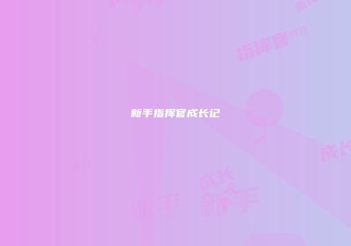 新手指挥官成长记